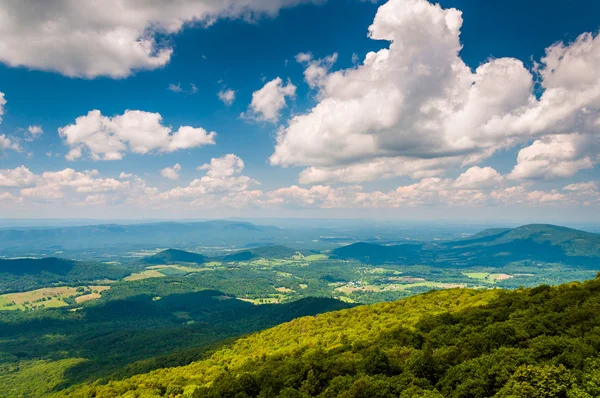 보기 블루 릿지 산맥의 shenandoah 계곡 전경에서 — 스톡 사진