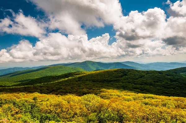 View of the Blue Ridge Mountains from Stony Man Mountain, in She — Stock Photo, Image