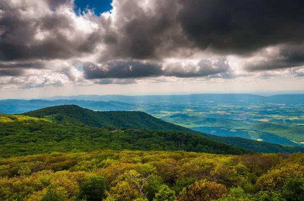 Vista de Blue Ridge y Shenandoah Valley desde Stony Man Moun — Foto de Stock