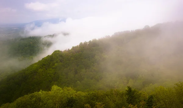 Pohled na blue ridge mlha a nízká oblaka z oblohy — Stock fotografie