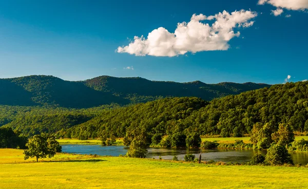 View of the Shenandoah River and Massanutten Mountain, in the Sh — Stock Photo, Image