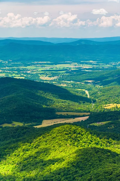 Utsikt over Shenandoah Valley fra Jewell Hollow Overlook in She – stockfoto