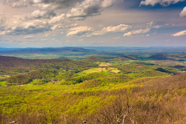 Widok z doliny shenandoah od gród jazdy w shenandoah n — Zdjęcie stockowe