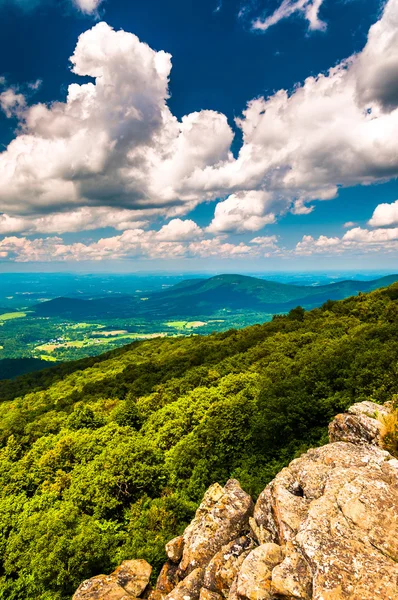 View of the Shenandoah Valley from cliffs on South Marshall, in — Stock Photo, Image