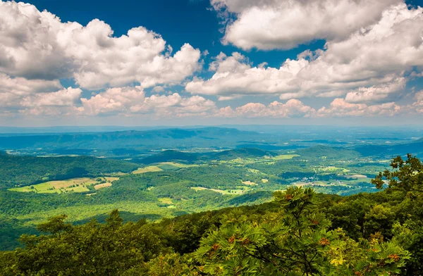 Vista do Vale do Shenandoah a partir da Trilha Apalaches em Shen — Fotografia de Stock