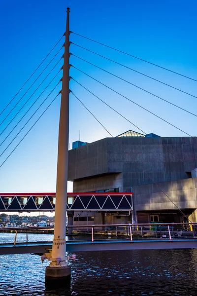 Gångavstånd bridge och nationella akvariet i inre hamnen i — Stockfoto