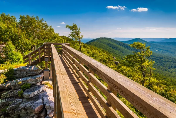 Walking bridge and view of the Appalachians from Big Schloss, in — Stock Photo, Image