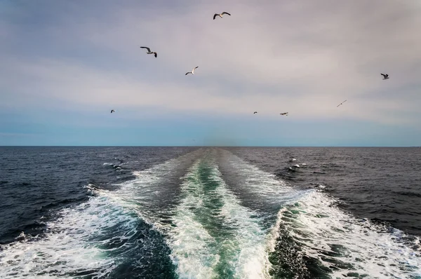 Wake from a boat in the Atlantic Ocean and seagulls. — Stock Photo, Image
