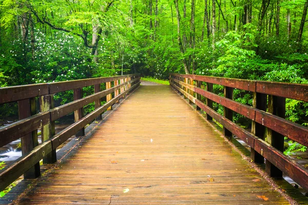 büyük dumanlı mounta, oconaluftee Nehri üzerinde yürüyen köprü