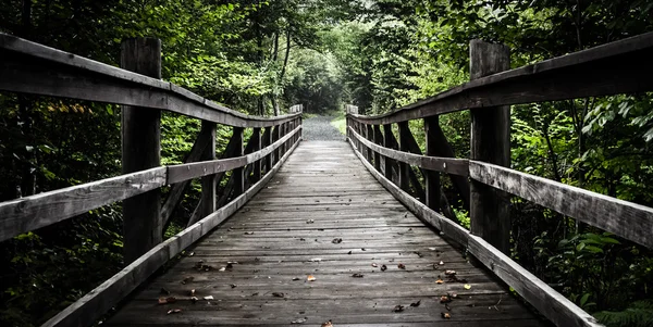 Ponte a pé na Trilha Limberlost em Shenandoah National Pa — Fotografia de Stock