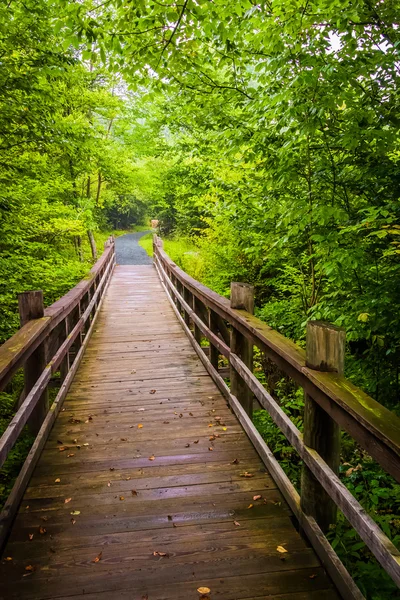 Walking bridge on the Limberlost Trail in Shenandoah National Pa — Stock Photo, Image