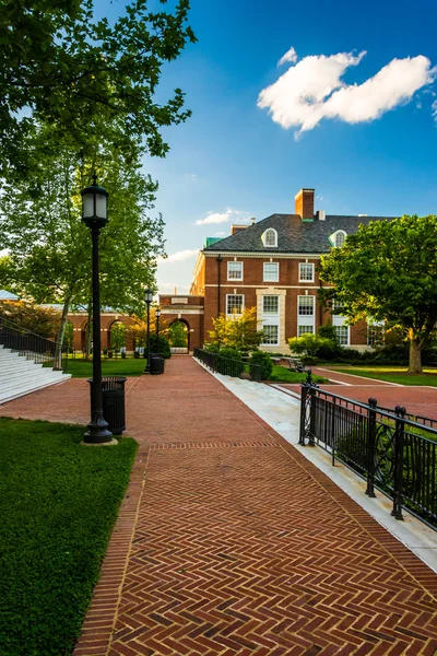 Gehweg und Gebäude an der john hopkins universität in baltimore, m — Stockfoto