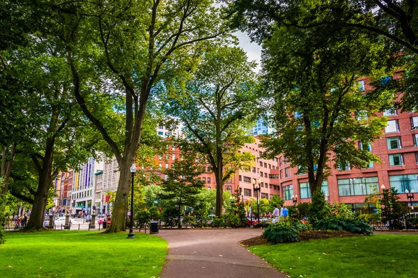 Gehweg im öffentlichen Garten von Boston. — Stockfoto