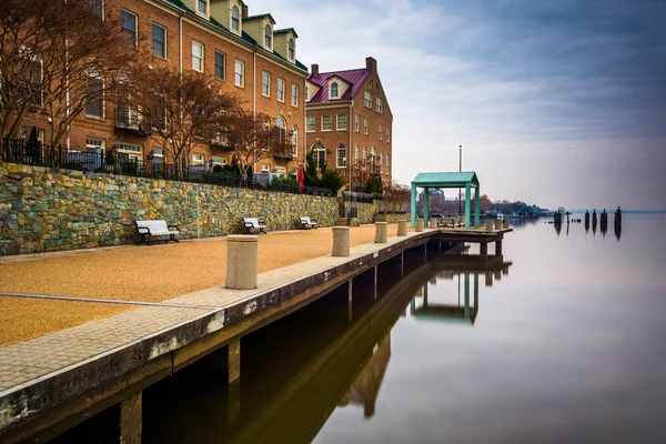 Waterfront promenade ja osakehuoneistot pitkin Potomac joen — kuvapankkivalokuva