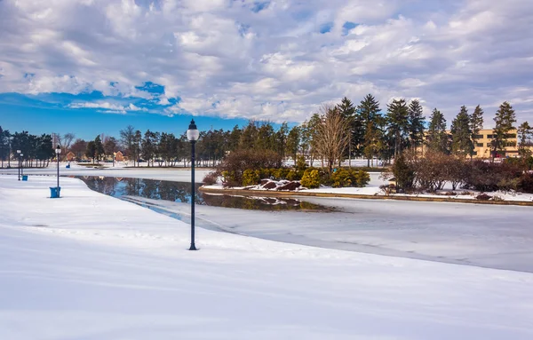 York, pennsylvania kiwanis göl kış manzarası. — Stok fotoğraf