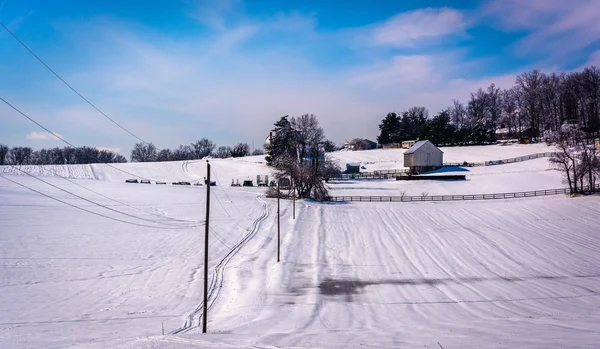 Widok zima farmy w wiejskiej gminie carroll, maryland. — Zdjęcie stockowe