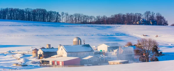 Vista invernale di una fattoria nella contea rurale di York, Pennsylvania . — Foto Stock