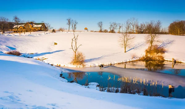 Kırsal york county, pennsylvania gölde kış manzarası. — Stok fotoğraf