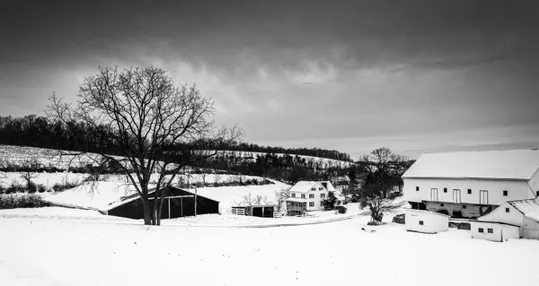 Vinter vy av lador och ett träd på en gård på landsbygden york county, — Stockfoto