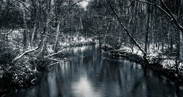 Vista de inverno de um córrego no condado rural de York, Pensilvânia . — Fotografia de Stock