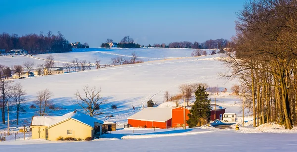 Зимний вид на фермерские поля и катящиеся веревки в сельской местности — стоковое фото