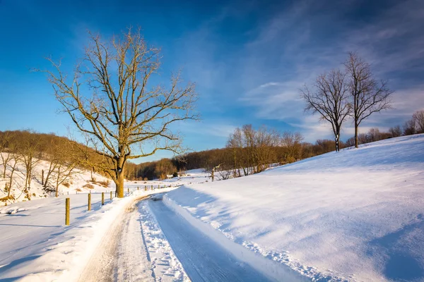 Trees along a snow-covered road in Seven Valleys, Pennsylvania. Stock Picture