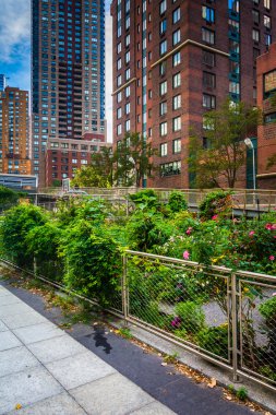 Bahçe pil park city, manhattan, new york, yol. 