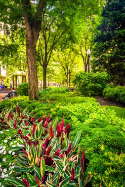 Boston, Massachusetts yılında Norman B. Leventhal Park Bahçe. 