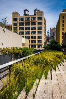 Otlar ve Manhattan, New York'taki yüksek satırında geçit. 