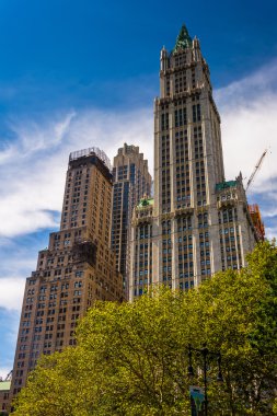 woolworth Binası Lower manhattan, new york. 