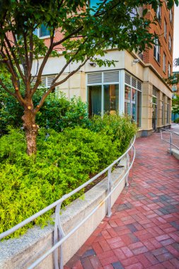 ağaç ve geçit pil, boston, massachusetts wharf. 