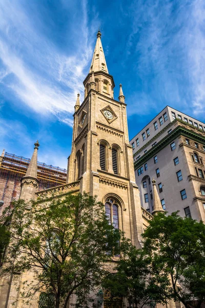 マンハッタン、ニューヨークの大理石の参事会教会. — ストック写真
