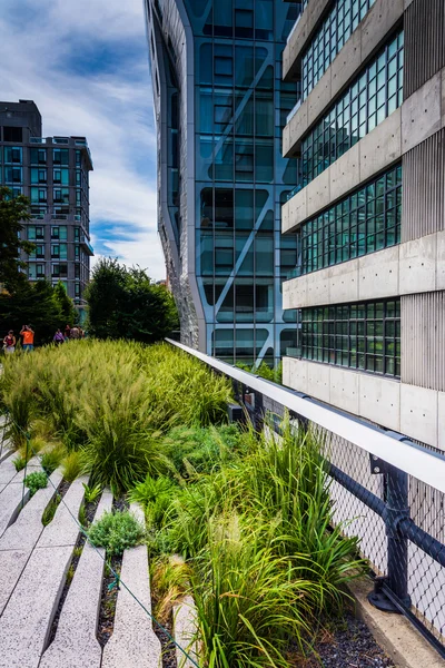 Moderní budovy podél vysoké linie v Manhattanu, new york. — Stock fotografie