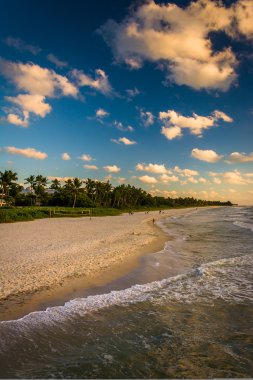 Naples, Florida Balık tutma iskelesinden Beach görünümü. 