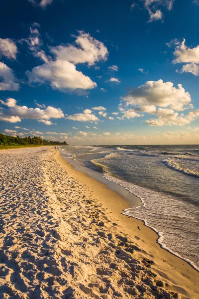 Avondlicht op het strand in Naples, Florida. — Stockfoto
