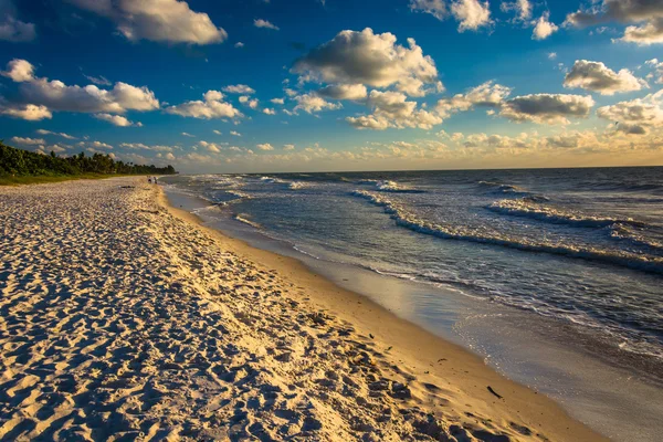 Światło wieczorem na plaży w Naples, Florida. — Zdjęcie stockowe