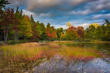Kartal Gölü, Acadia Milli Parkı, Maine sonbahar renk. 
