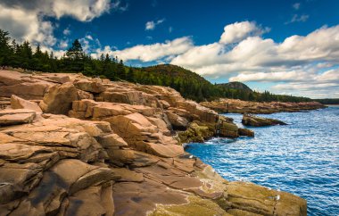 Otter Cliffs and the Atlantic Ocean in Acadia National Park, Mai clipart