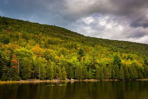 Bubbla dammen, på Acadia National Park, Maine. — Stockfoto