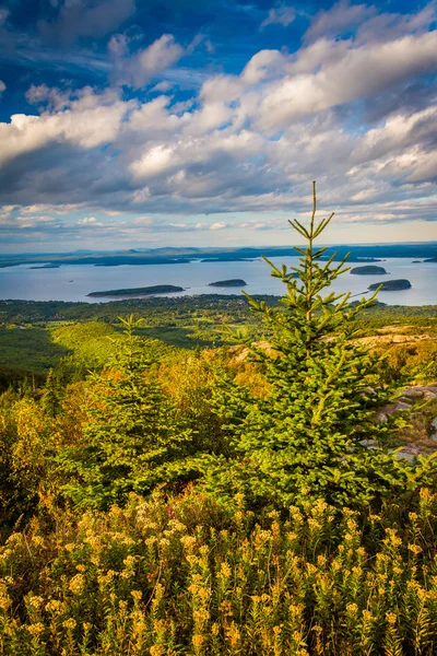 Vista noturna da Montanha Caddilac no Parque Nacional de Acadia, Mai — Fotografia de Stock