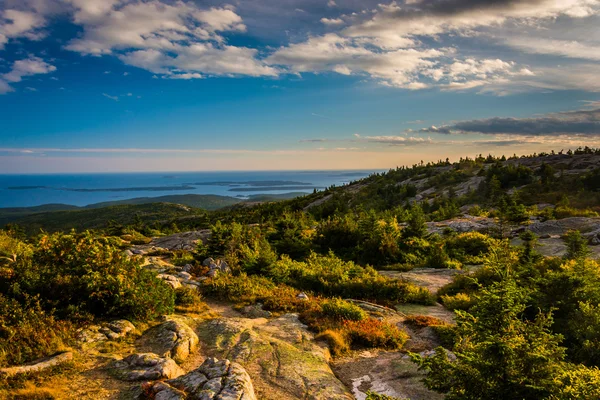 Vista nocturna desde la montaña Caddilac en el Parque Nacional Acadia, Mai —  Fotos de Stock