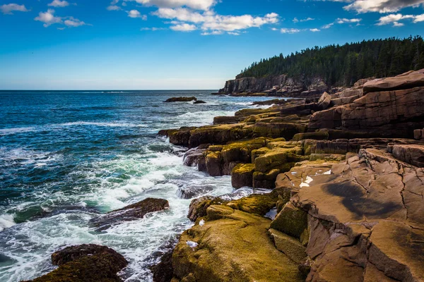 Su samuru kayalıklarla ve Atlantik Okyanusu Acadia Milli Parkı'nda, Mai — Stok fotoğraf