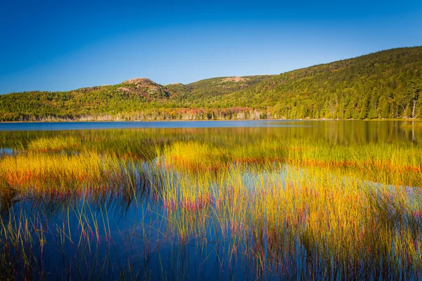Horní Houšťová rybník v národním parku Acadia, Maine. — Stock fotografie