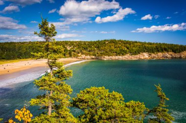 Acadia Milli Parkı, Maine kum plaj görünümünü. 