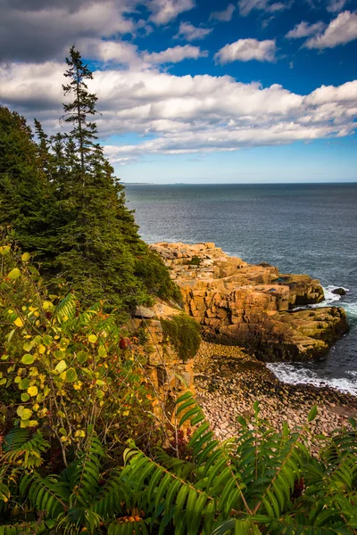 Utsikt över klipporna och havet i Acadia National Park, M — Stockfoto