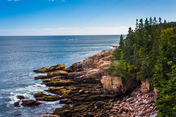 View of cliffs and the Atlantic Ocean in Acadia National Park, M — Stock Photo, Image