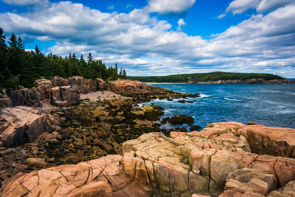 View of cliffs and the Atlantic Ocean in Acadia National Park, M — Stock Photo, Image