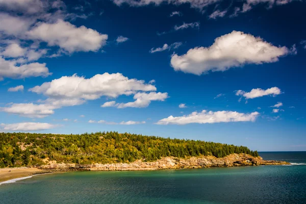 Vue de Newport Cove et des falaises rocheuses du parc national Acadia, M — Photo
