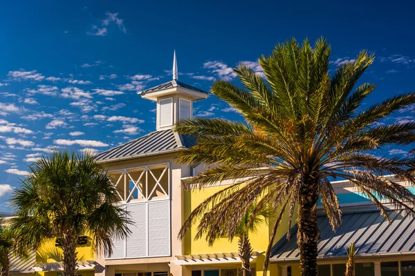 Palm trees and building in Vilano Beach, Florida. — Stock Photo, Image