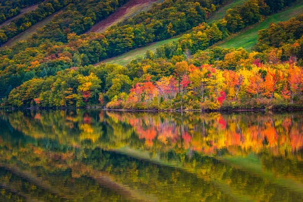 Colores de otoño reflejados en Echo Lake, en Franconia Notch State Pa — Foto de Stock